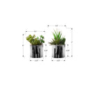  Monarch I 9550 7"H Succulent In 3" Chrome Pot IMAGE 3