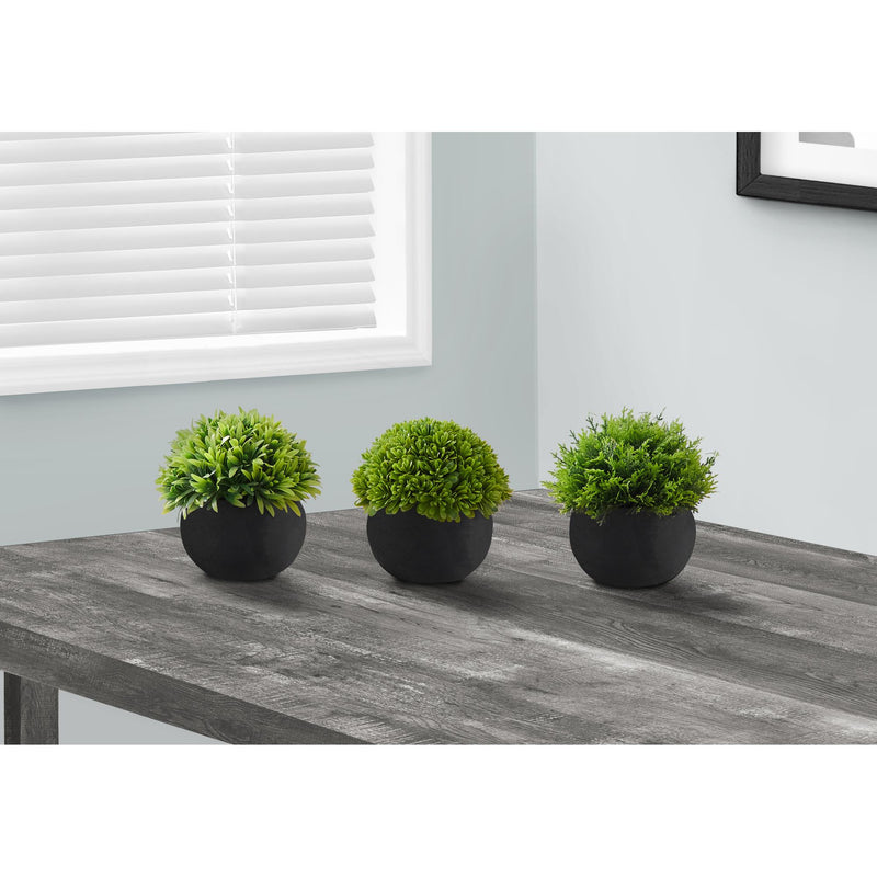  Monarch I 9552 3Pcs/5"H Grass In A 3" Black Pot IMAGE 1