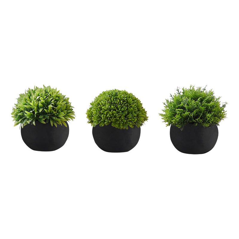  Monarch I 9552 3Pcs/5"H Grass In A 3" Black Pot IMAGE 2