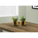  Monarch I 9553 7"H Succulent In 3" Gold Pot IMAGE 1