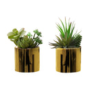  Monarch I 9553 7"H Succulent In 3" Gold Pot IMAGE 2