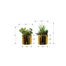  Monarch I 9553 7"H Succulent In 3" Gold Pot IMAGE 3