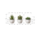  Monarch I 9555 3Pcs/6"H Succulent In A 3" White Pot IMAGE 3