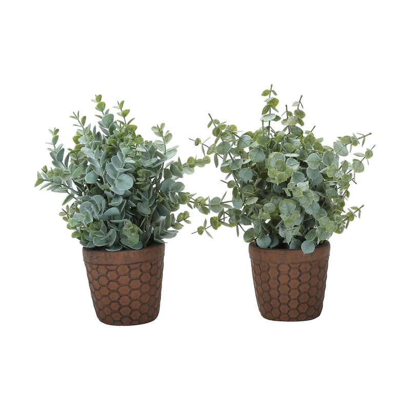  Monarch I 9560 13"H Eucalyptus/Grass/ 4" Pot IMAGE 2
