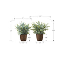  Monarch I 9560 13"H Eucalyptus/Grass/ 4" Pot IMAGE 3
