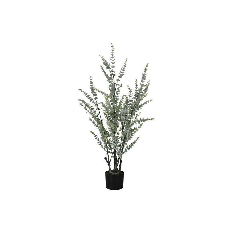  Monarch I 9561 44"H - Indoor Eucalyptus In A 5" Pot IMAGE 2