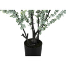  Monarch I 9561 44"H - Indoor Eucalyptus In A 5" Pot IMAGE 3