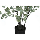  Monarch I 9562 35"H - Indoor Eucalyptus In A 5" Pot IMAGE 3