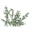  Monarch I 9562 35"H - Indoor Eucalyptus In A 5" Pot IMAGE 5