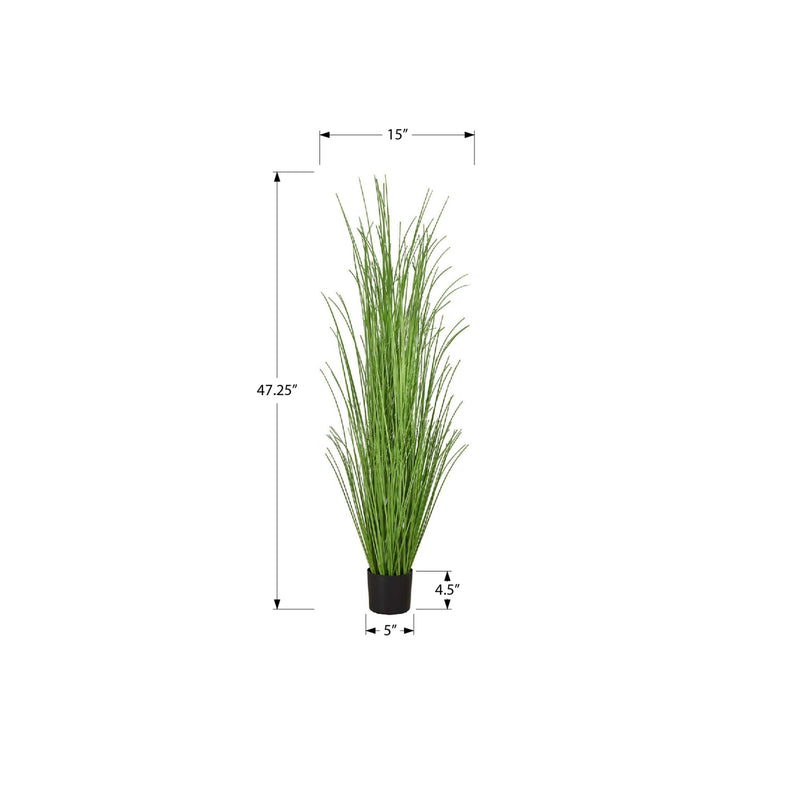  Monarch I 9565 47"H - Indoor Grass In A 5" Pot IMAGE 5