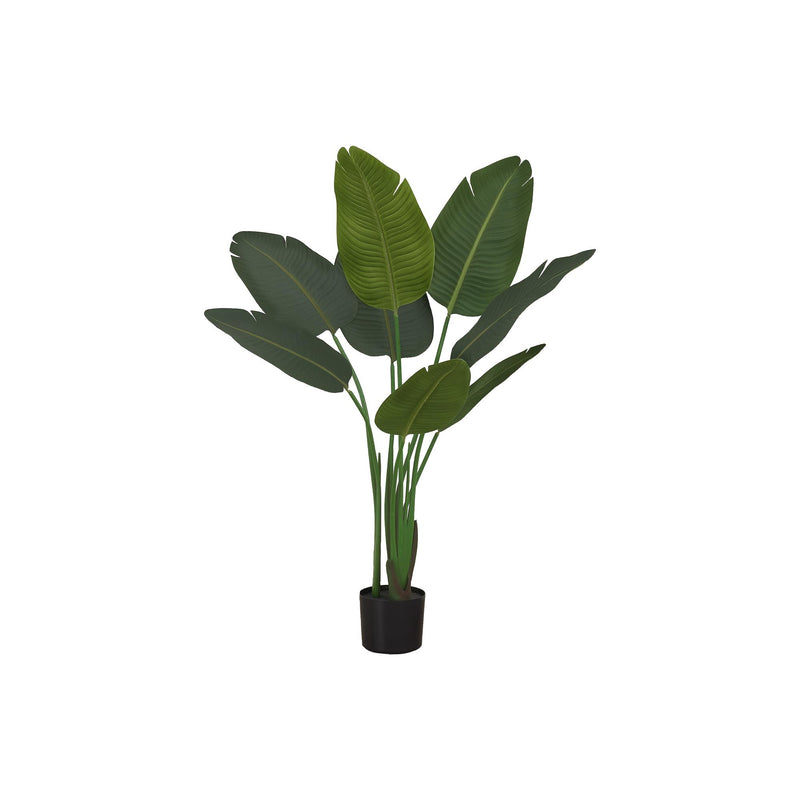  Monarch I 9569 44"H - Indoor Bird Of Paradise 5" Pot IMAGE 2