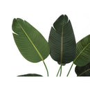  Monarch I 9569 44"H - Indoor Bird Of Paradise 5" Pot IMAGE 4