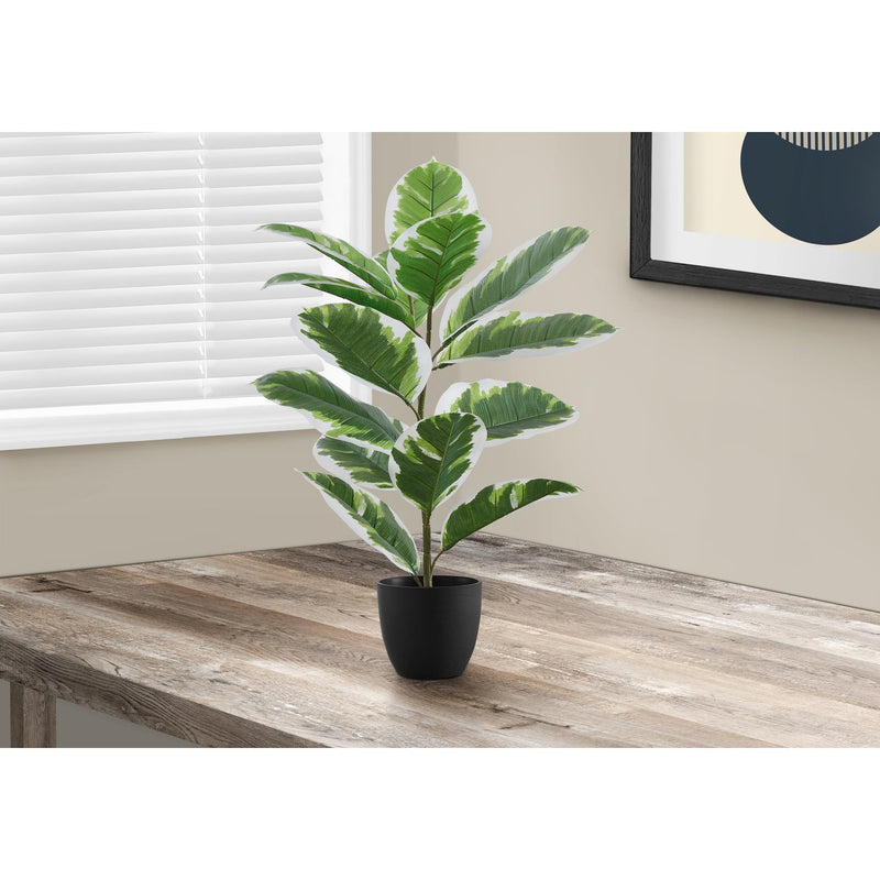  Monarch I 9572 27"H - Indoor Rubber In A 5" Pot IMAGE 1