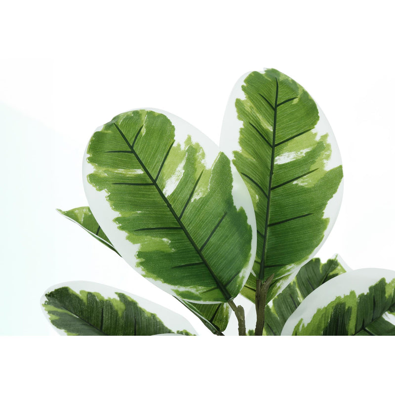  Monarch I 9572 27"H - Indoor Rubber In A 5" Pot IMAGE 4