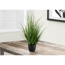  Monarch I 9575 23"H - Indoor Grass In A 4" Black Pot IMAGE 1