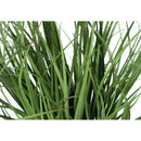  Monarch I 9575 23"H - Indoor Grass In A 4" Black Pot IMAGE 4