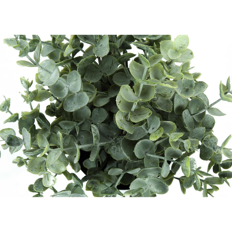  Monarch I 9580 11"H Eucalyptus/ Grass/5" Pot IMAGE 5