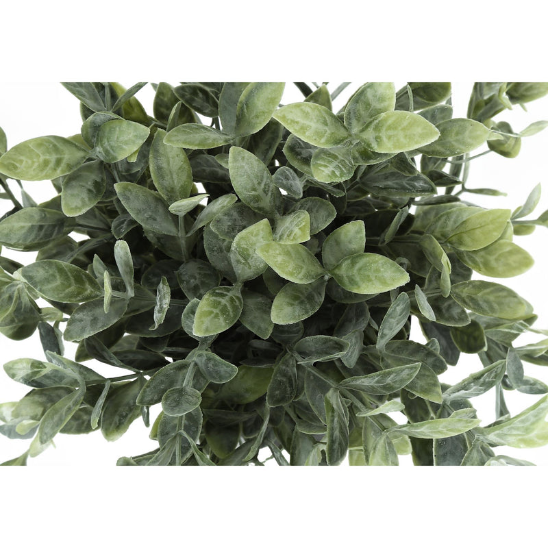  Monarch I 9580 11"H Eucalyptus/ Grass/5" Pot IMAGE 6