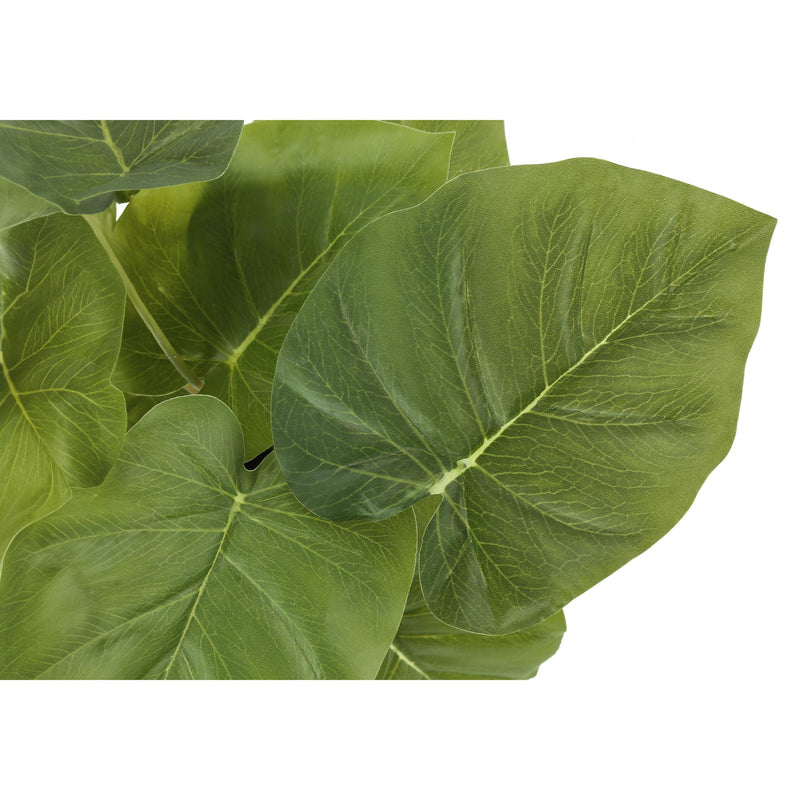  Monarch I 9583 13"H Epipremnum/4" Pot IMAGE 5