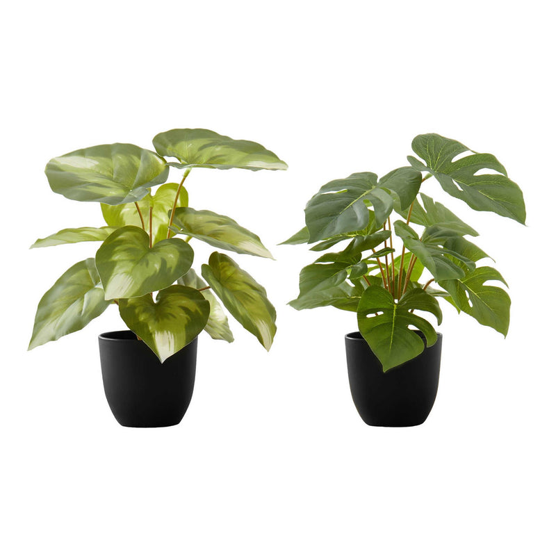  Monarch I 9584 13"H Monstera/Calathea/ 4" Pot IMAGE 2