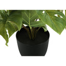  Monarch I 9584 13"H Monstera/Calathea/ 4" Pot IMAGE 3