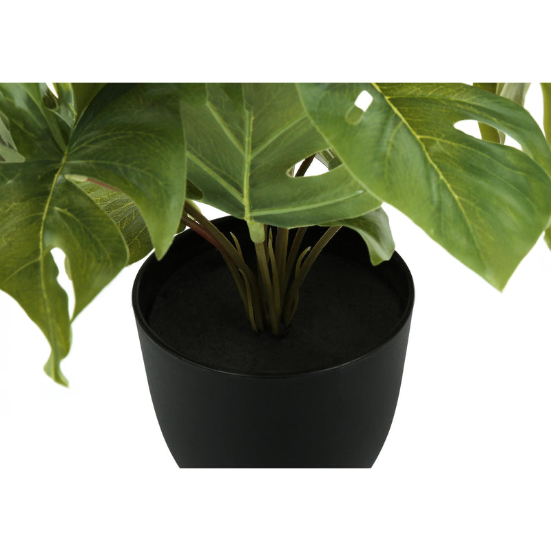  Monarch I 9584 13"H Monstera/Calathea/ 4" Pot IMAGE 3