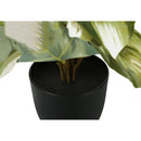  Monarch I 9584 13"H Monstera/Calathea/ 4" Pot IMAGE 4
