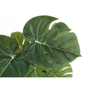  Monarch I 9584 13"H Monstera/Calathea/ 4" Pot IMAGE 5