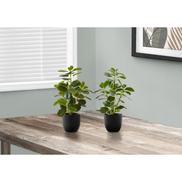  Monarch I 9585 14"H Ficus Elastica In 4" Pot IMAGE 1