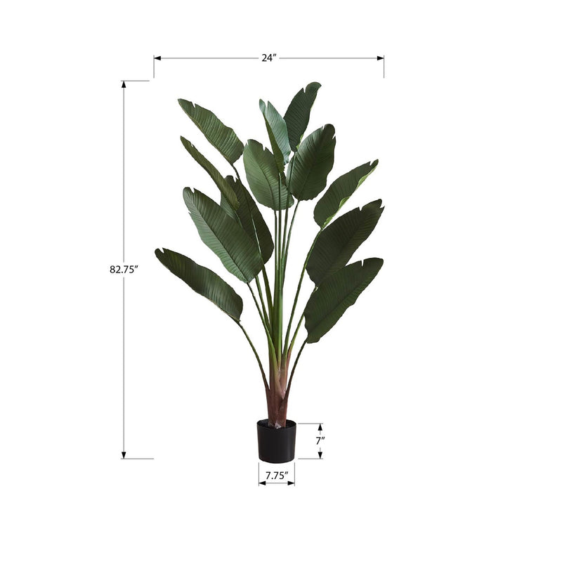  Monarch I 9591 83"H - Indoor Bird Of Paradise In A 8" Pot IMAGE 3