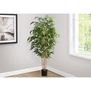  Monarch I 9592 83"H - Indoor Bamboo Tree In A 8" Pot IMAGE 1
