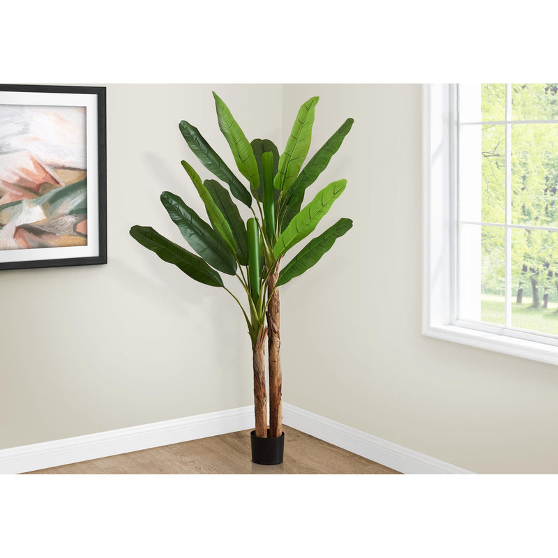  Monarch I 9593 83"H - Indoor Banana Tree In A 8" Pot IMAGE 1