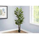  Monarch I 9595 83"H - Indoor Dracaena In A 8" Pot IMAGE 1