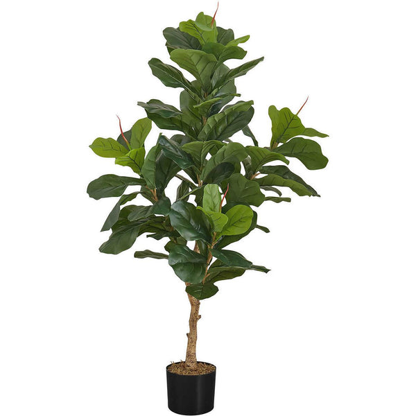  Monarch I 9541 Indoor Fiddle Tree IMAGE 1
