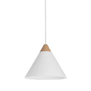  Renwil Daya LPC4483 Ceiling Fixture IMAGE 1