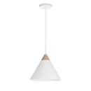 Renwil Daya LPC4483 Ceiling Fixture IMAGE 2