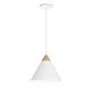  Renwil Daya LPC4483 Ceiling Fixture IMAGE 3