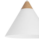  Renwil Daya LPC4483 Ceiling Fixture IMAGE 5