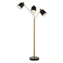  Renwil Meander LPF3169 Floor Lamp IMAGE 2