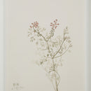  Renwil Crema PA0043 Painting IMAGE 11