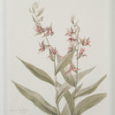  Renwil Crema PA0043 Painting IMAGE 20