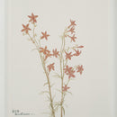  Renwil Crema PA0043 Painting IMAGE 3