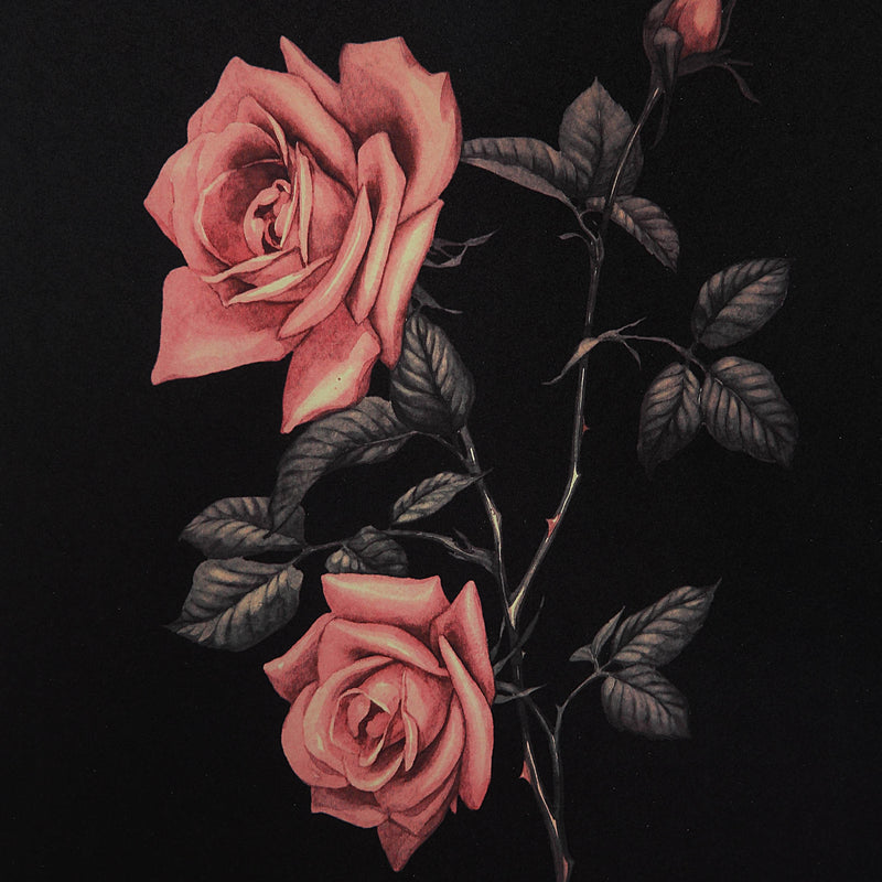  Renwil Wallflower W6704 Printed Art IMAGE 13