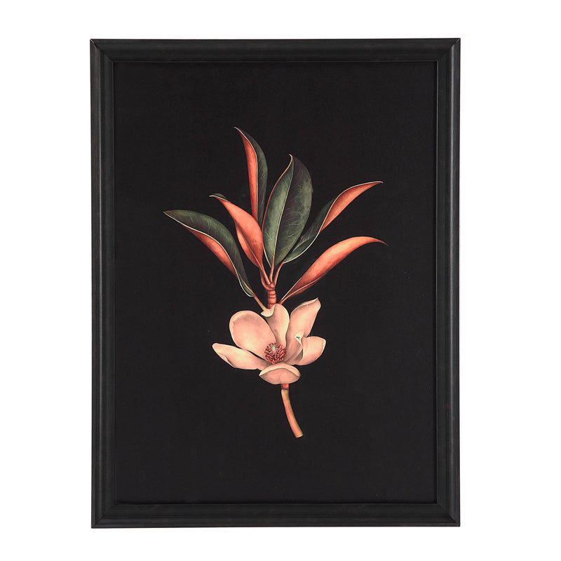  Renwil Wallflower W6704 Printed Art IMAGE 17