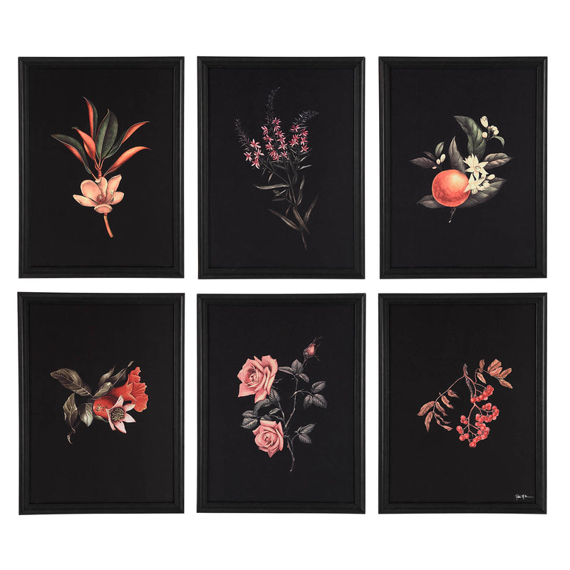  Renwil Wallflower W6704 Printed Art IMAGE 1