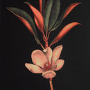  Renwil Wallflower W6704 Printed Art IMAGE 4