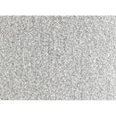  Furniture of America Karey FM-AC6010GY Accent Chair IMAGE 3