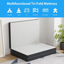  Furniture of America Hollyhock DM1003-T 3" Twin Tri-Fold Memory Foam Topper IMAGE 6