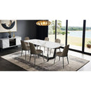  Furniture of America Norelli FM3701SV-T-TABLE Dining Table IMAGE 1