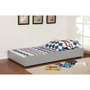  Furniture of America Grano FM-TR453-GY Trundle IMAGE 1